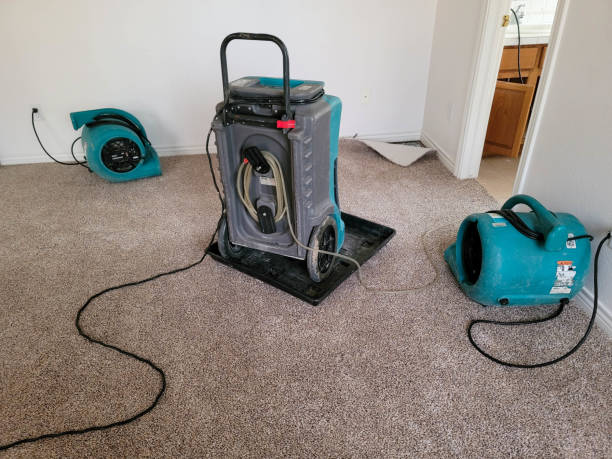 Best Commercial water damage restoration  in Waukon, IA