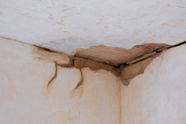 Best Carpet water damage restoration  in Waukon, IA