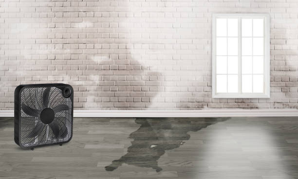 Sewage cleanup and water damage restoration in Waukon, IA