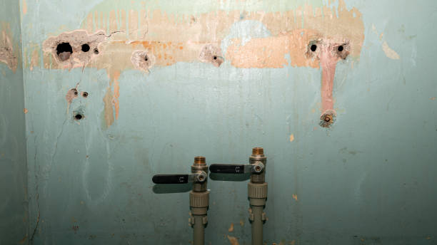 Best Water damage restoration near me  in Waukon, IA