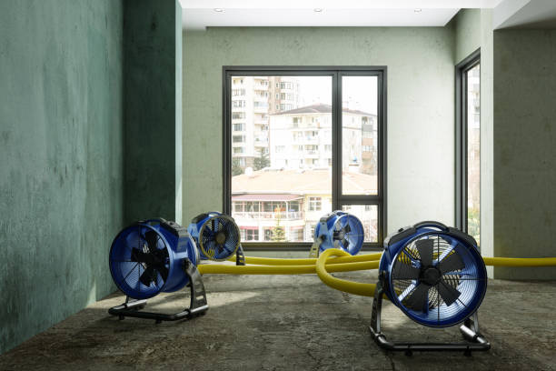 Best Emergency water damage restoration  in Waukon, IA