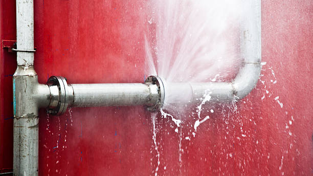 Best Water damage contractors near me  in Waukon, IA